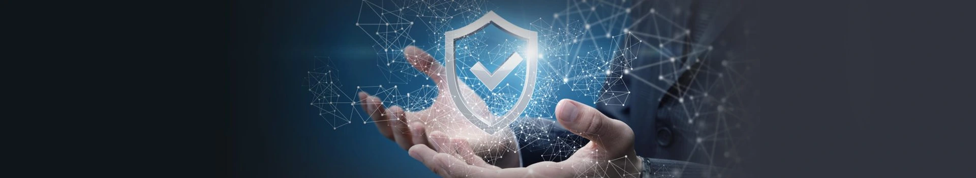 Phi Pii Redaction Software Guide